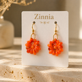 Zinnia